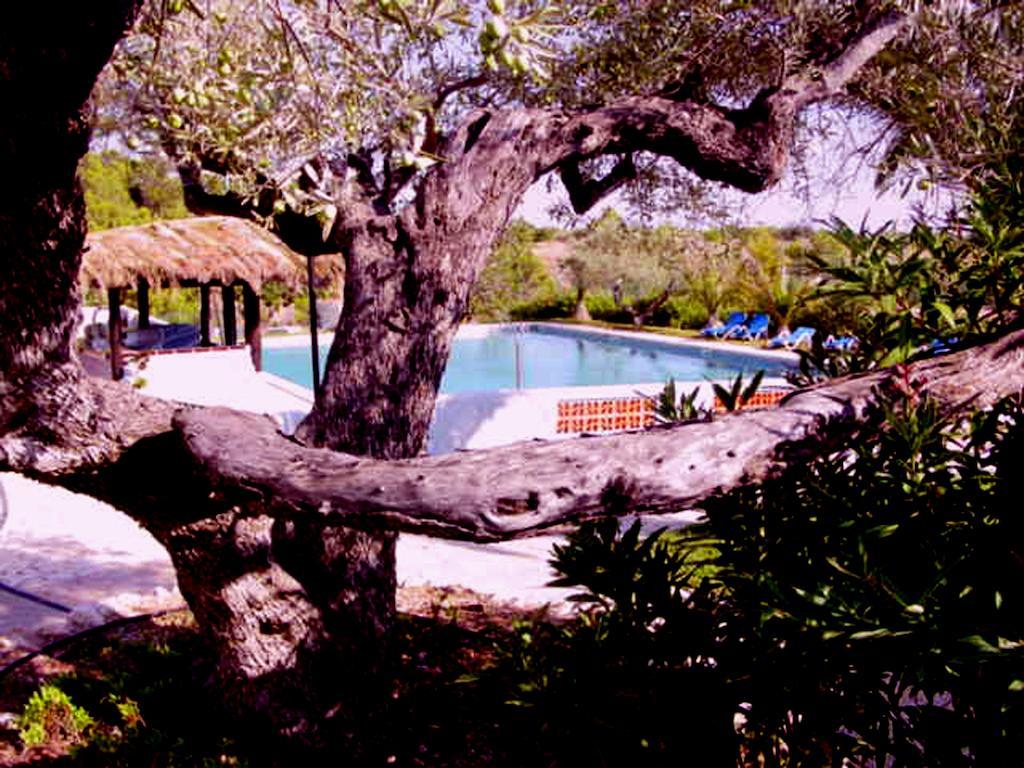 Hotel The Sea Garden L'Ampolla Exterior foto
